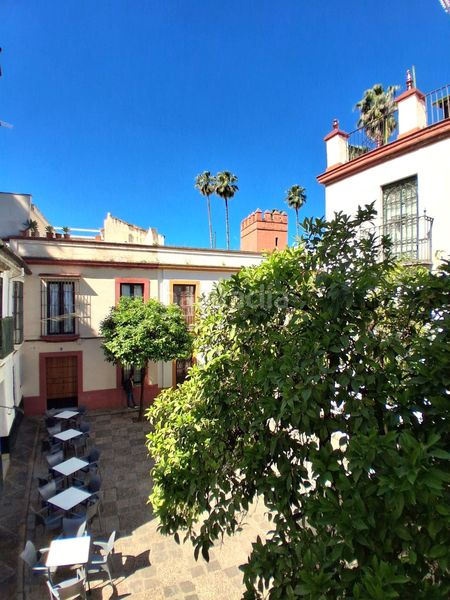 Foto 2b18b7b7-17d9-4b8a-8c10-0a2675298e09. Pis a Alfalfa - Santa Cruz Sevilla