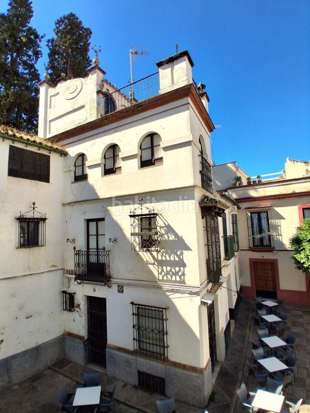 Foto 3e8baae0-2699-4847-9956-2fd07e548ea2. Pis a Alfalfa - Santa Cruz Sevilla