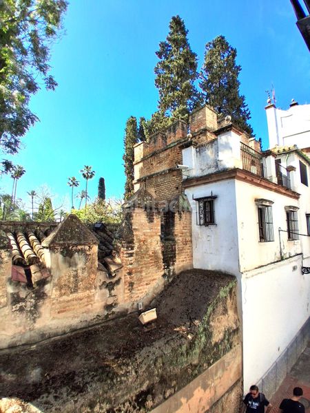 Foto 4f216648-b5e0-4c5f-b7c9-2b7f1682f7e7. Pis a Alfalfa - Santa Cruz Sevilla