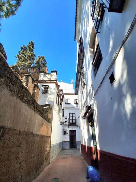 Foto 5ead4a9c-1cc1-44f6-94cf-e8965db3b8d9. Pis a Alfalfa - Santa Cruz Sevilla