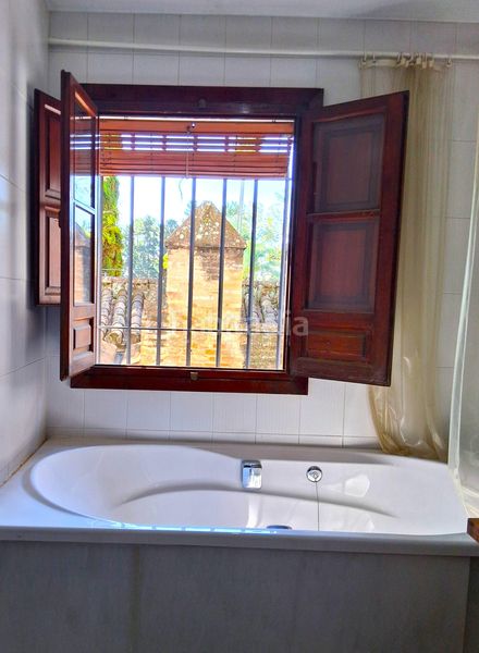 Foto 71875701-f39e-4dd2-aae2-48f1eb5ebead. Pis a Alfalfa - Santa Cruz Sevilla