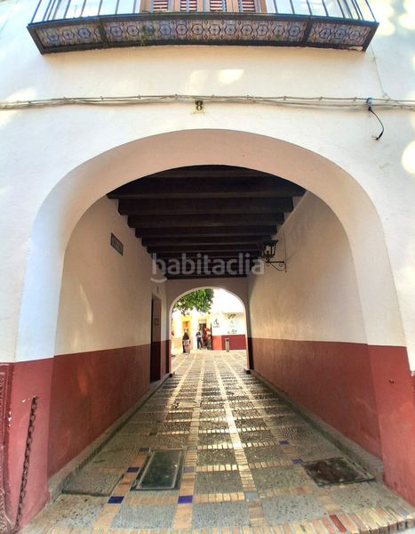 Foto 87abc2bf-e326-4bcd-802f-3487d268fb07. Pis a Alfalfa - Santa Cruz Sevilla