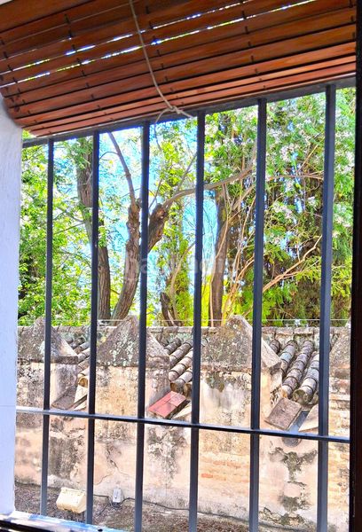 Foto 8a7c95db-4e26-402e-84f4-e5317725057f. Pis a Alfalfa - Santa Cruz Sevilla