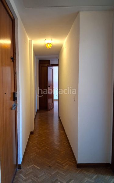 Foto b59e2e5b-c6ac-4023-933e-df1a87ffc507. Pis a Alfalfa - Santa Cruz Sevilla