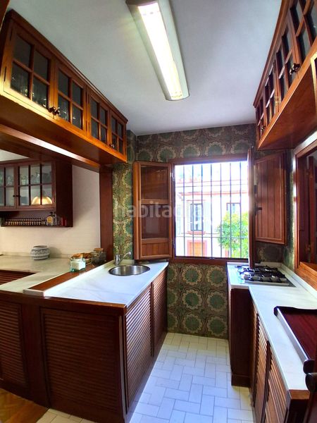 Foto cef5eb10-9e11-4a01-b75a-9861b1b22e7b. Pis a Alfalfa - Santa Cruz Sevilla