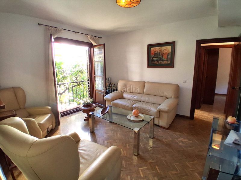 Foto daabc772-8872-4fda-9619-fb7756b19c3c. Pis a Alfalfa - Santa Cruz Sevilla