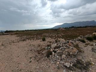 Propriété  Partida la escandella. Terreno en venta en partida la escandella