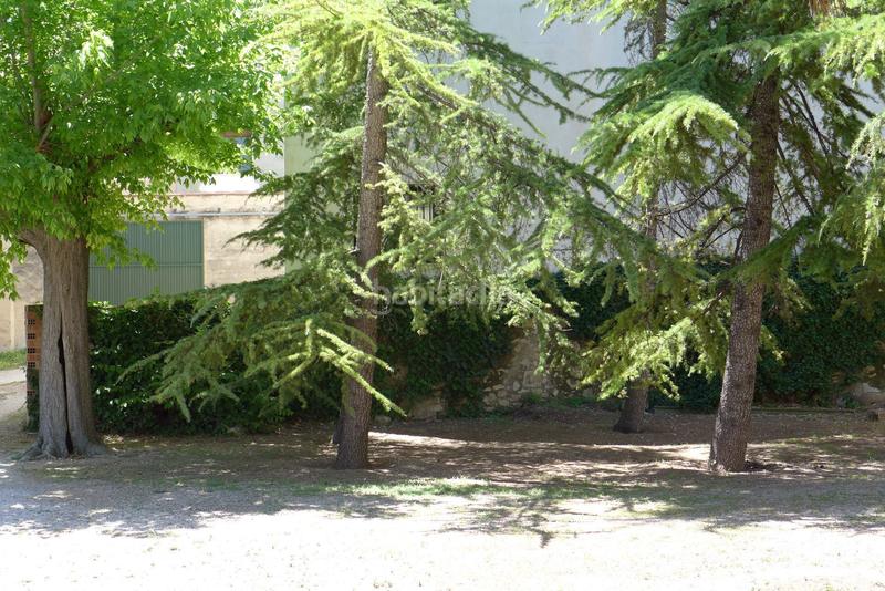 Foto 3256fda8-38ba-4c7b-9bb8-8dd64ab141df. Casale in Cocentaina