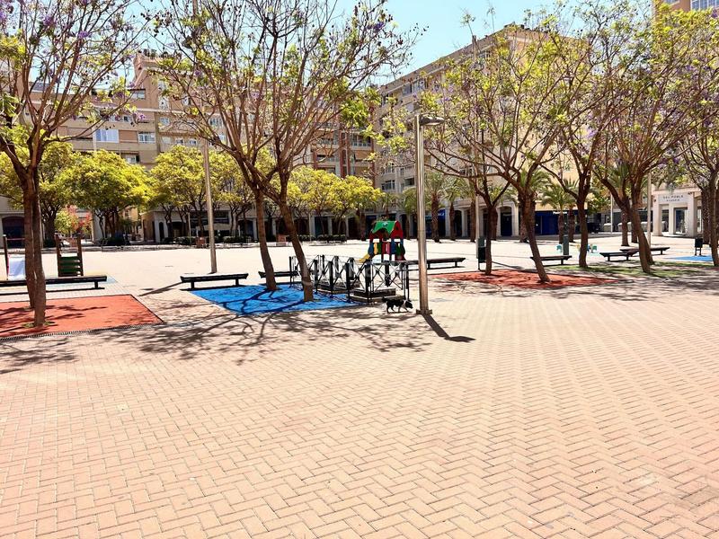 Foto 4fd7aa7e-5787-40d3-8d2a-63b388b92916. Miete geschäftsraum in caratula 16 in Ciutat Universitària Elche / Elx