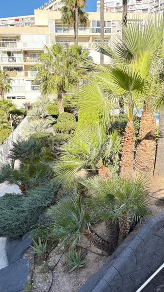 Foto 78be4f24-20b9-43c6-8575-d5bf8ea690fb. Flat in Rincón Alto Benidorm