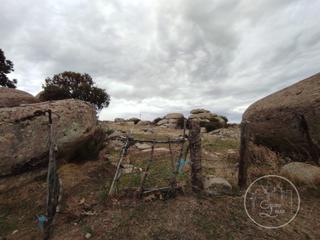 Casa a Narrillos del Álamo. Finca  venta narrillos del álamo