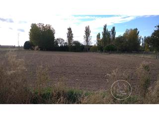 Terreny residencial a Abades. Terreno venta abades
