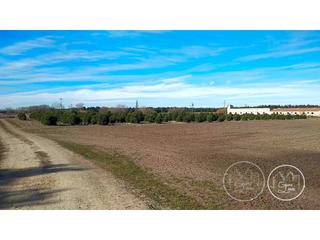 Terreny residencial a Fuentepelayo. Terreno venta fuentepelayo