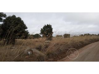 Terreny residencial a Zona Rural. Terreno venta ávila