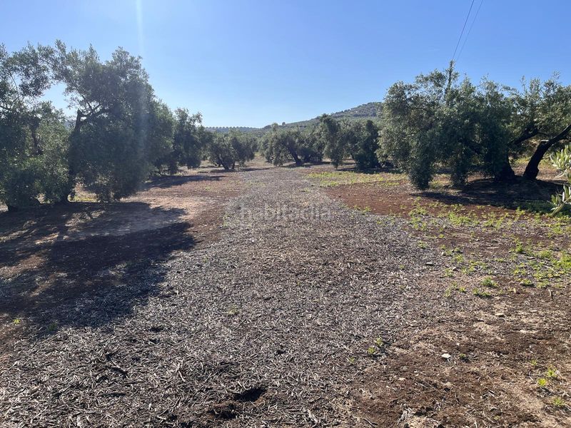 Foto 79903377-5abd-4162-b686-eee52c1538c1. Finca rústica a Doña Mencía