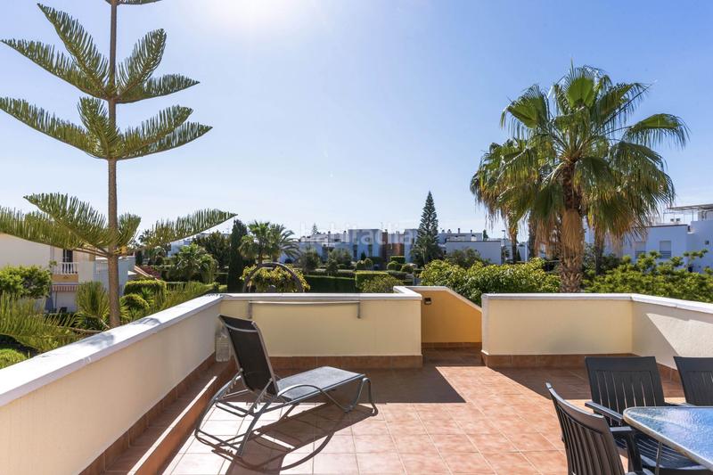 Foto a855dc50-96a8-4b39-a6cd-d2980f4c64fc. Piccolo appartamento in tortuga boba 5 in Vera playa naturista Vera