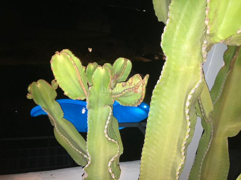 Foto 88a8618b-a6fb-48ec-afe6-a2158d8d93a8. Piccolo appartamento in jerez 1 in Vista de los Ángeles Mojácar