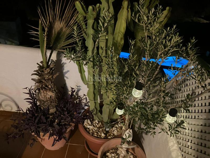 Foto b2b90243-6f09-4cf0-87dd-c9b8dfd166e0. Piccolo appartamento in jerez 1 in Vista de los Ángeles Mojácar