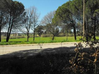 Terreny residencial a Caldes de Malavella