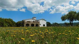 Bauernhof in Llagostera