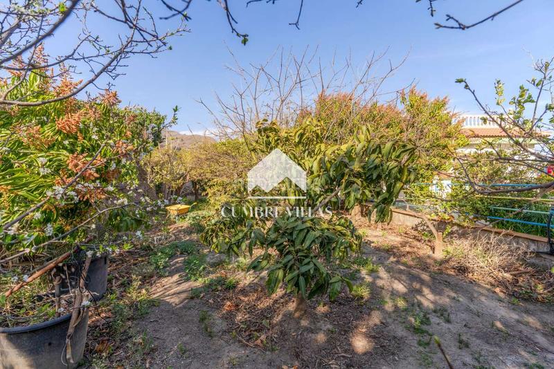 Foto 2654cc6d-e2e4-469b-8a9a-8552454e4762. Masia amb aparcament a Motril ciudad Motril