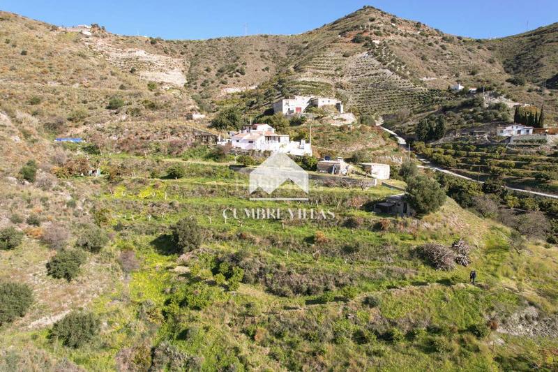 Foto 1da3ea41-c5b4-4b8c-9025-8337b7911482. Mas dans El Rescate - Río Seco Almuñécar