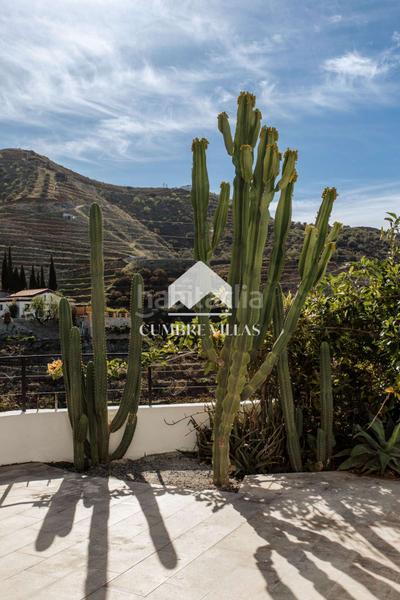 Foto c102f197-7b0b-484e-a847-fb46c97bfe03. Mas dans El Rescate - Río Seco Almuñécar