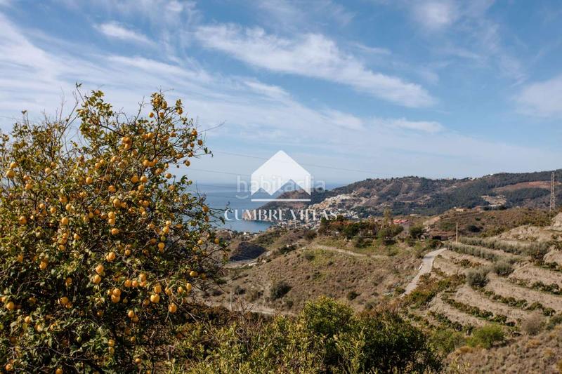 Foto c8ff33d3-7f51-45e6-a33d-356c6ded3fbb. Mas dans El Rescate - Río Seco Almuñécar