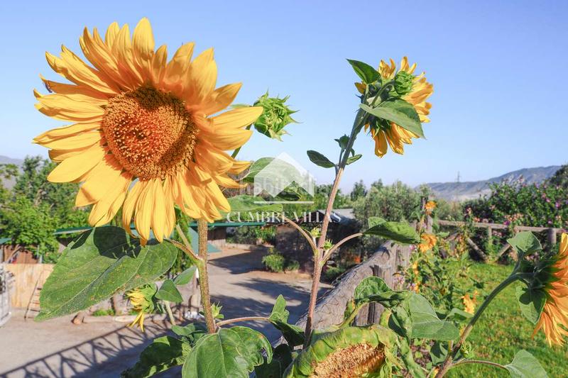Foto d7f97cae-bfb4-4a14-b88e-9caa3dd4e0a4. Casale in Lecrín