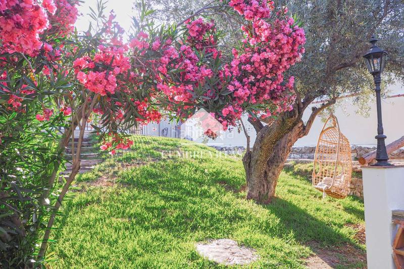 Foto f02bfa3b-2a13-4577-a2a4-80e2b5a95c6a. Casale in Lecrín