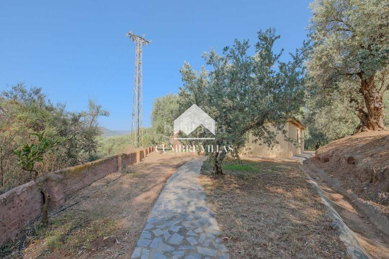 Foto 725ffdc8-4de4-4826-9645-fb4c4bfd5cc0. Masia a Órgiva