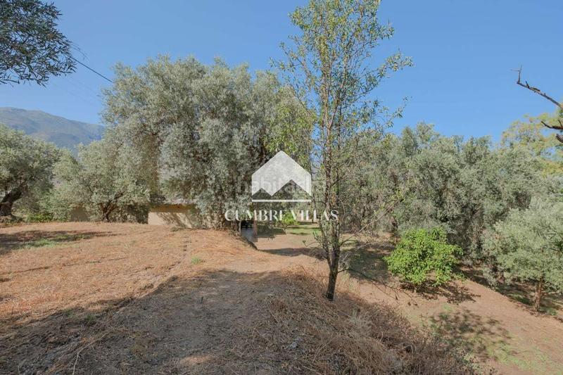 Foto 81787b8a-e982-40b8-a4d6-e0919d45d1fc. Masia a Órgiva