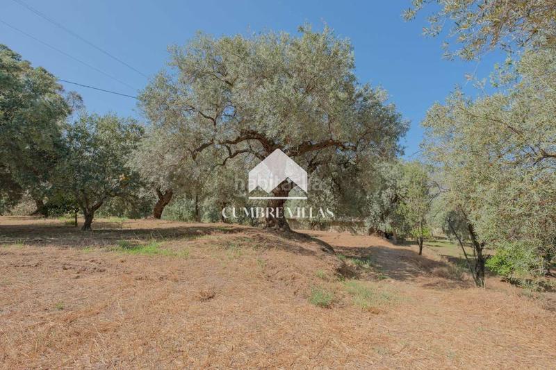 Foto 8950f96a-8109-4134-96ae-e6baf4ed8808. Masia a Órgiva