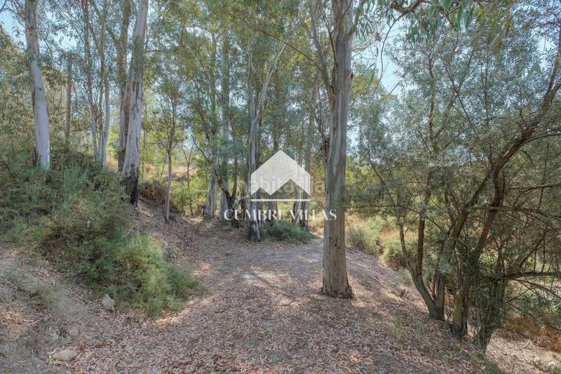 Foto 96b68a97-91f0-4173-b494-844272826cda. Masia a Órgiva