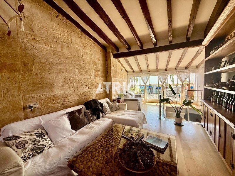 Foto 85f516ad-1474-4c60-afd1-8d40f2147aad. Dúplex a El Mercat Palma de Mallorca