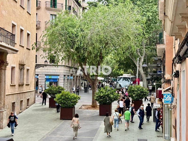 Foto d803af36-5312-48a3-9c76-71baba07b359. Pis a La Missió Palma de Mallorca