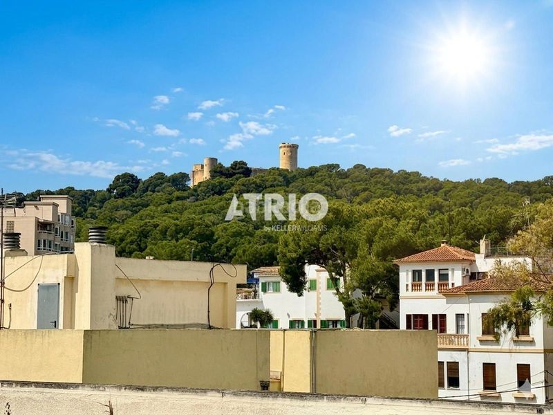 Foto 2e1156b3-af59-4c16-ae41-b08cf3de5a31. Àtic amb calefacció aparcament piscina a Son Armadams Palma de Mallorca
