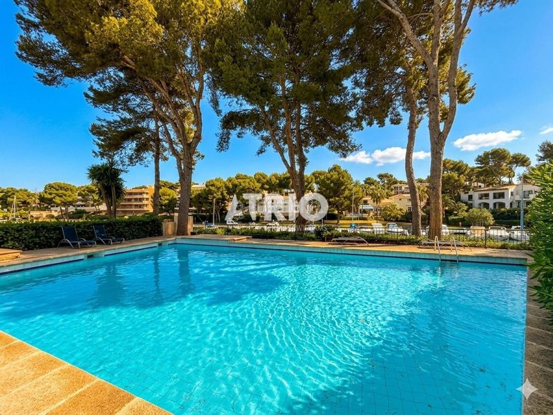 Foto 818ceed1-8125-4418-a79c-e96aed561424. Dúplex amb calefacció aparcament piscina a Santa Ponça Calvià