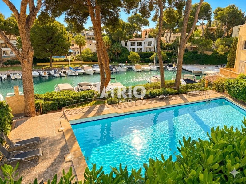 Foto dbc3855e-9643-4afe-bd4b-b458cd61efde. Dúplex amb calefacció aparcament piscina a Santa Ponça Calvià