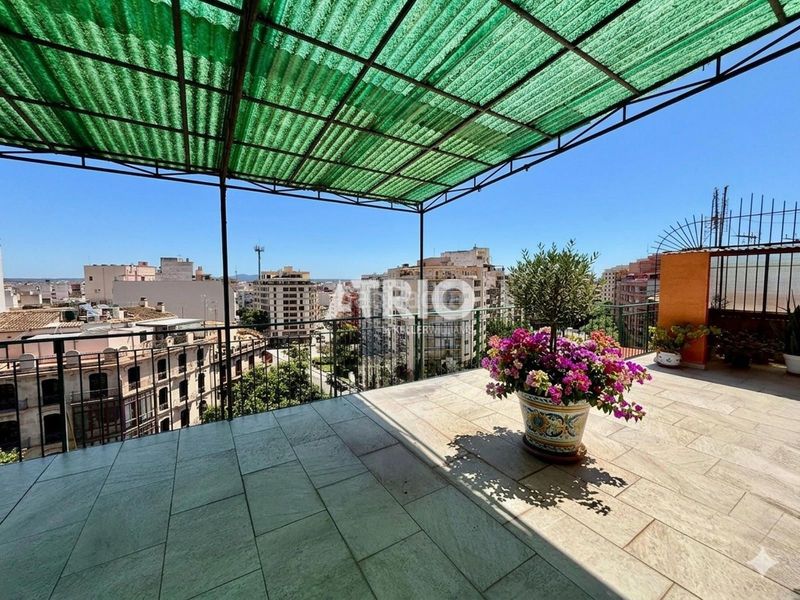 Foto c0b8745d-27e4-4686-a8dd-c173d88f6665. Àtic amb calefacció a El Sindicat Palma de Mallorca