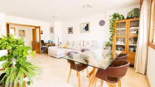Alquiler Piso en Arxiduc. Alquiler. piso con una terraza privada exclusiva entre son oliva