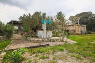 Casa  Poligon 11 rustega. Finca rustica en solar de 10.000m2 aprox. en montuiri,