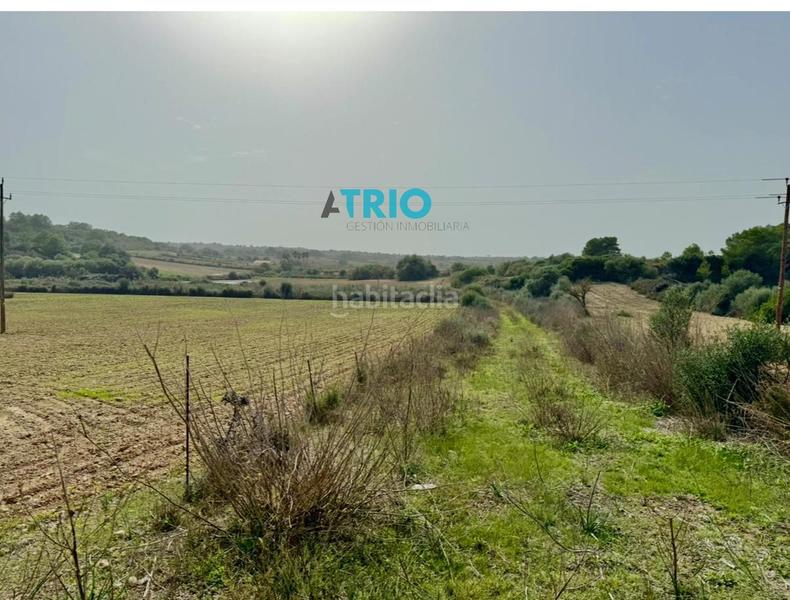 Foto 1296700e-487f-4e15-950d-407206758046. Finca rústica a Santa Margalida poble Santa Margalida