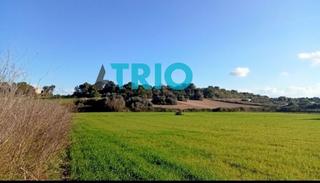 Rural plot in Santa Margalida Poble. Finca con pozo de vena