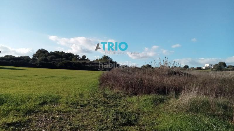 Foto a10b6f0c-c44f-4346-9ace-ca02ca6107c2. Finca rústica a Santa Margalida poble Santa Margalida