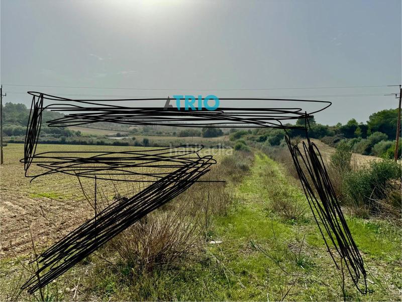 Foto dd0cce29-6df7-4c99-a0bd-187e1bb4a34b. Finca rústica a Santa Margalida poble Santa Margalida