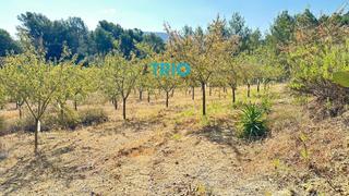 Finca rústica a N/a. En algaida