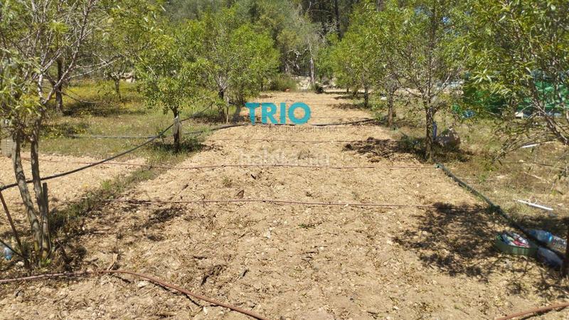 Foto 49ab6a29-38d1-4c09-a575-8fac962e5a2d. Propriété dans n/a dans Algaida