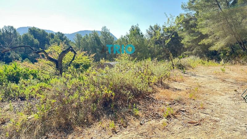 Foto 4b219d62-43a9-4e2f-a9de-f9ed9e9d847b. Propriété dans n/a dans Algaida