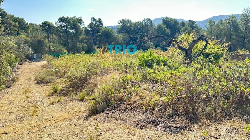 Foto 60ffbdf9-e480-4fff-a487-16109c3ff0ff. Propriété dans n/a dans Algaida